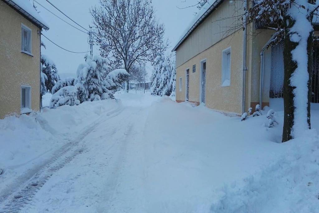 Ferienwohnung In Mittelsaida Grosshartmannsdorf Exteriér fotografie